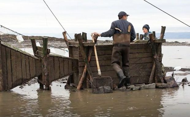 On the shore of the river, a fisher and a young boy get ready to open a wooden box in which eels are held captive. Two wooden funnels set end-to-end are connected to the box and guide eels into it.