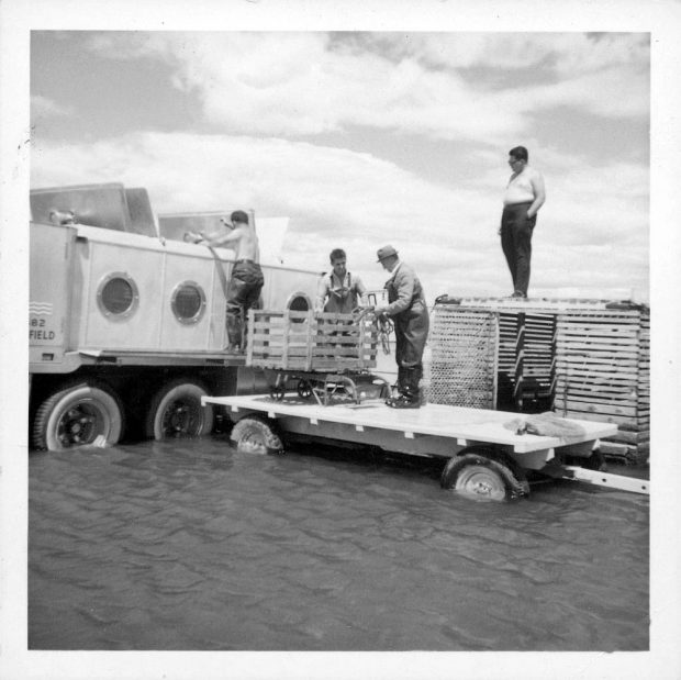Tank truck for transporting live fish, equipped with porthole-shaped windows and hatches in the roof of the tank. The truck is sitting in water up to its axles. A man has climbed onto the side of the truck and is looking inside one of the hatches. Two other men stand next to him on a trailer. A fourth man observes the scene while standing on top of a very large collecting box of an eel trap. Black and white photograph.
