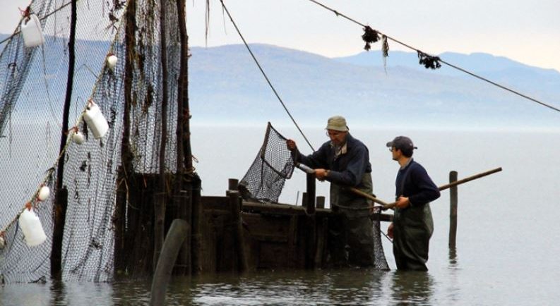 Two men stand in the river next to a wooden box used to hold eels captive in the weir. They have water up to their knees and are holding a net mounted on a square frame with a long handle. Fishing nets can be seen in front of the box, and mountains in the background.