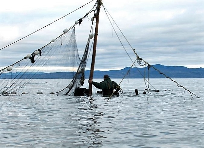 A man, up to his waist in water and with his back to the photographer, holds onto a post to which a fishing net is attached.