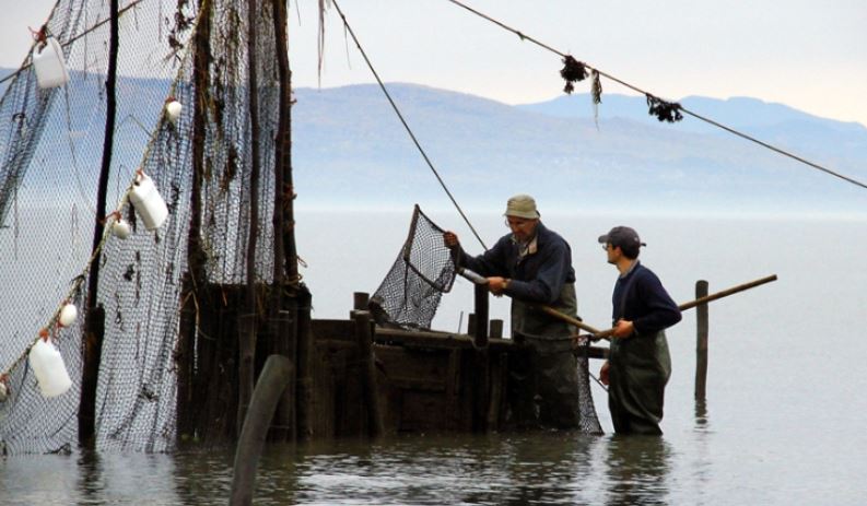 Two men stand in the river next to a wooden box used to hold eels captive in the weir. They have water up to their knees and are holding a net mounted on a square frame with a long handle. Fishing nets can be seen in front of the box, and mountains in the background.