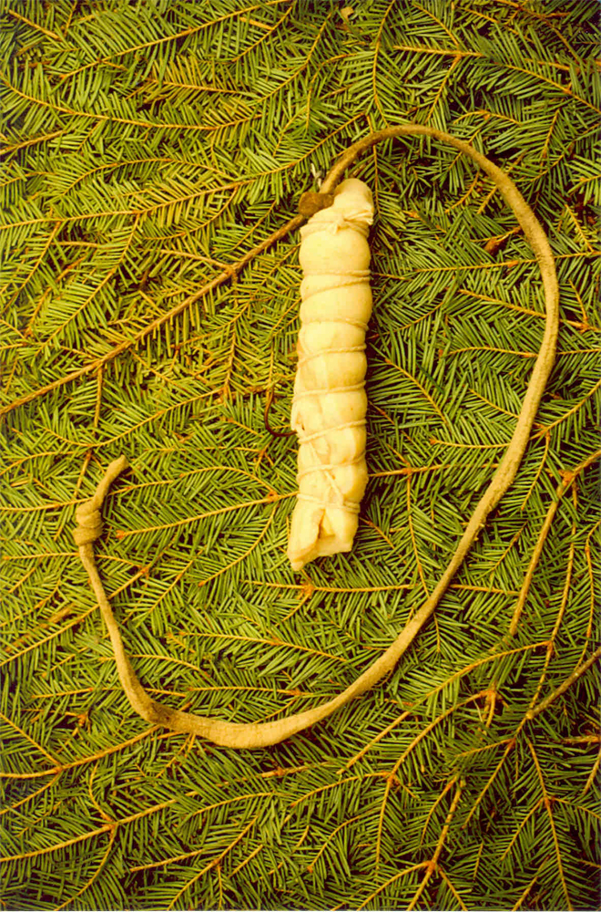 Colour photo of bait made in artisanal fashion using a bone to hold the hook in place. The leather strip is tied to the end of the hook. The fishhook is set against a backdrop of fir branches.