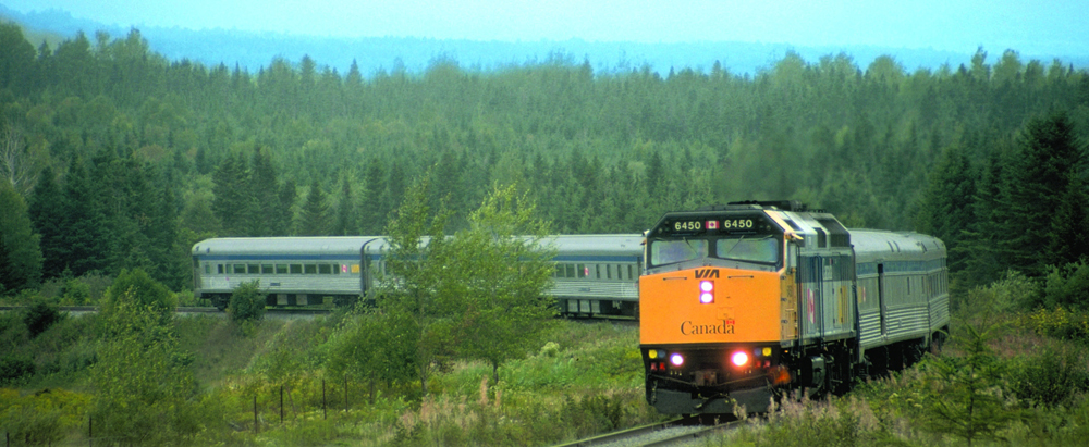 Colour photo, a VIA Rail locomotive and a few of its passenger wagons. The train track runs straight through the forest.