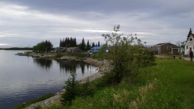 Trees, houses and river bank under cloudy sky