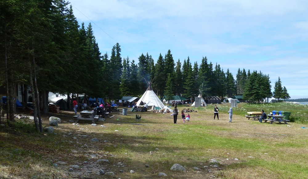 Spruce trees surround teepees and people in a meadow on an island.