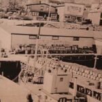 Tannius Basha’s fishing business