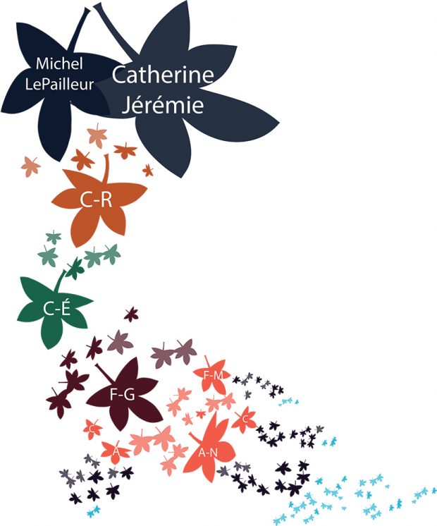 Montage of tree leaves representing the six generations of LePailleur descendants of Catherine Jérémie and Michel LePailleur. The seven generations are of different colors. Some leaves are dark and others are light.