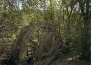 Large wooden wheel in forest