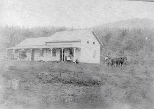 Wooden house and buggies before forested hill