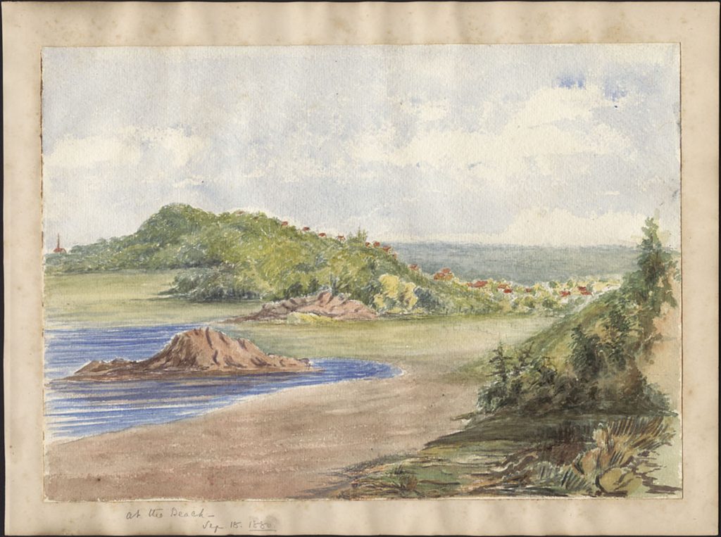 A watercolour image of a gentle shoreline scene, with a little water lifting upon a crescent-shaped beach, some vegetation in the foreground and what might be flowers visible amongst the vegetation in the background.