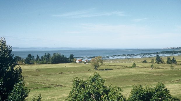 Colour photograph of agricultural fields leading down to the Saint Lawrence River near Rivière-du-Loup, at the edge of which is a line of trees and two small wooden buildings.