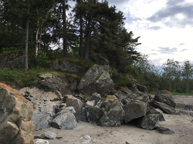 A colour photo of a beach scene, though no water is visible: to the left is a rocky escarpment studded with spruce and pine trees, at the centre, are large squarish boulders that appear to have been deposited by glacial action. To the front and right, flat sand with dried deposits of seaweed, sticks and shells that would suggest that the setting is tidal. Bright sky above.