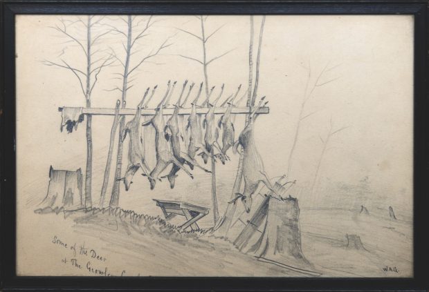 Seven deer hanging on a horizontal pole with stumps in the foreground.