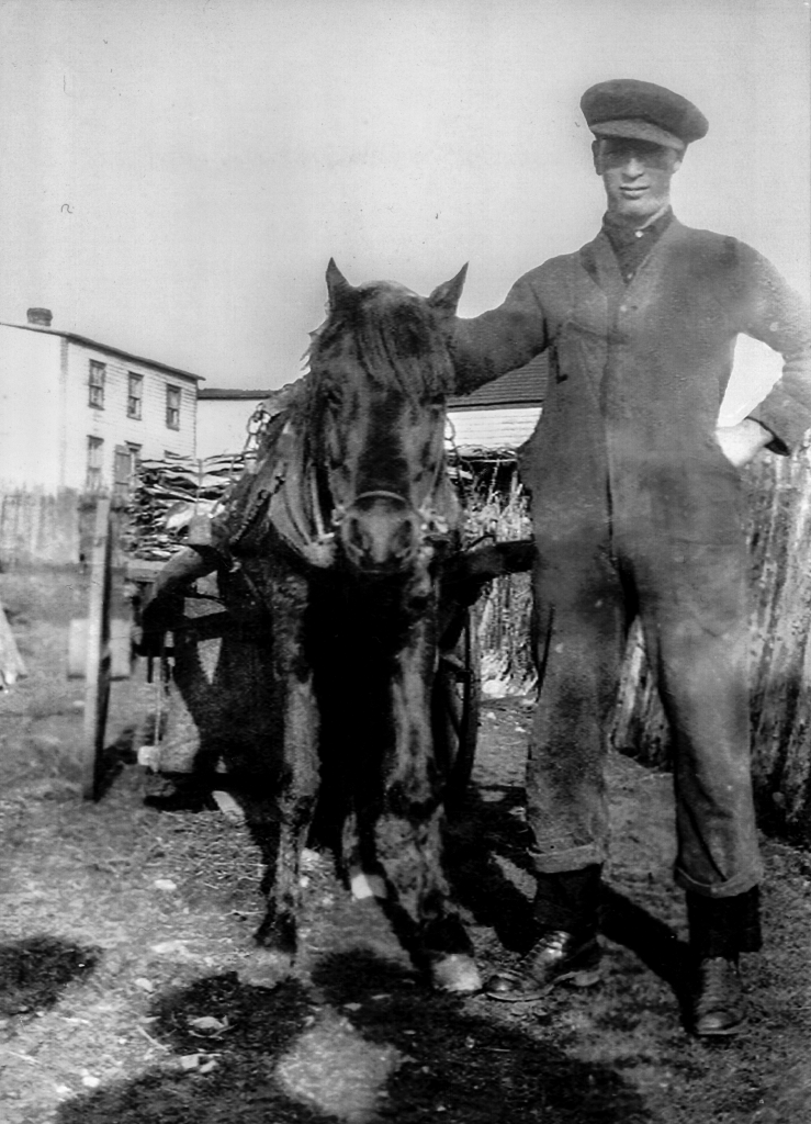 Black and white archival photograph of a man wearing coveralls to the right of a horse hauling a cart of fish. A biscuit box house, and another building can be seen in the back of photo.