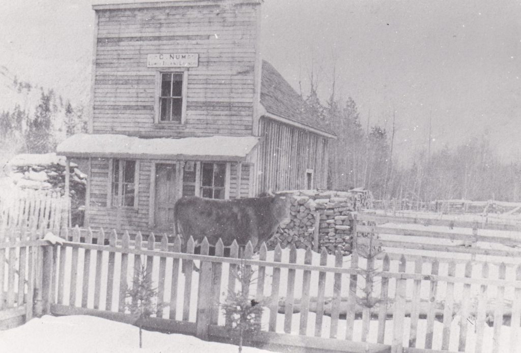 A rustic wooden building with a porch has a sign showing it is a laundry. A cow is standing in the fenced yard. There is a large pile of wood next to the building and the ground is covered in snow.