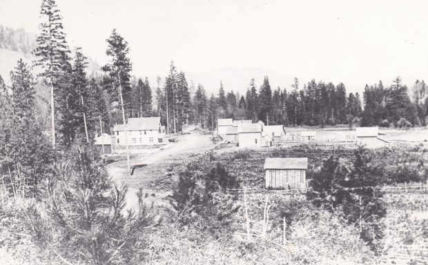 Some rough dwellings are grouped together in the middle of a forest. There is a dirt road and a few crude fences. The ground is covered with wooden debris and brush.