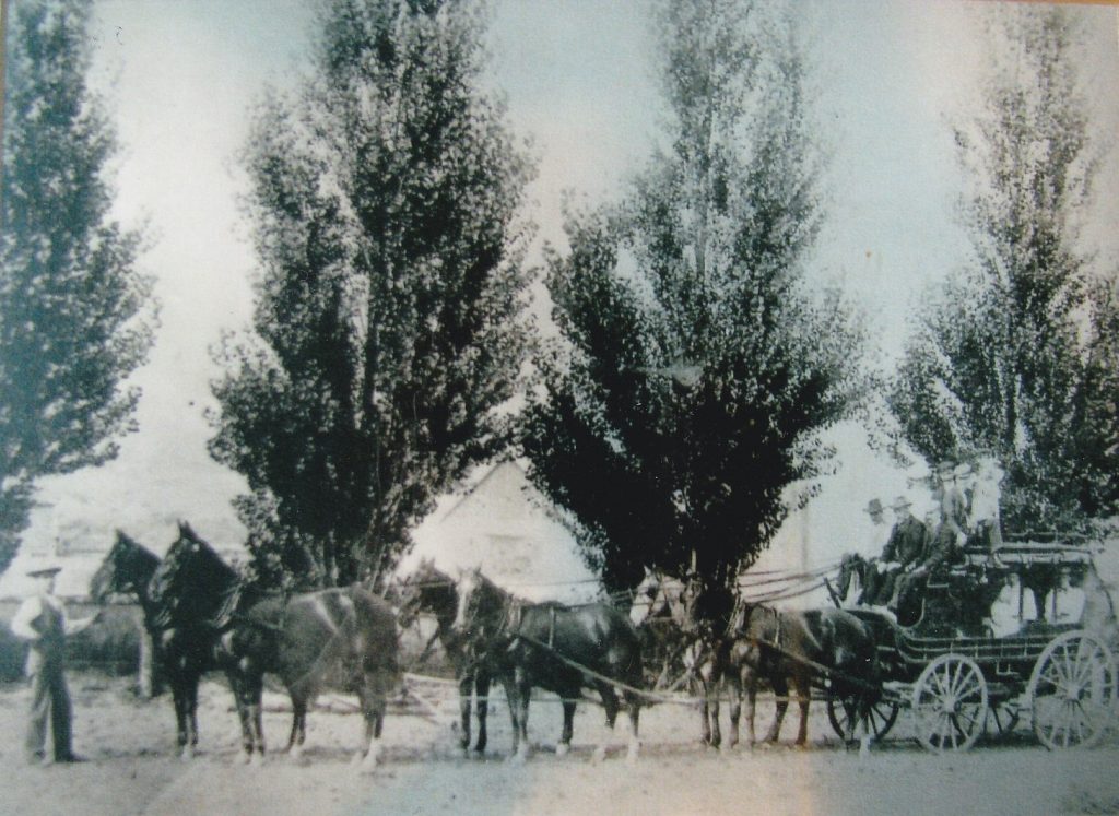 A stagecoach is hooked to a team of six horses. Two men are driving the stagecoach and several people are inside and on top of the stagecoach. A man is in front of the horses holding the reins. There are tall poplar trees in the background.