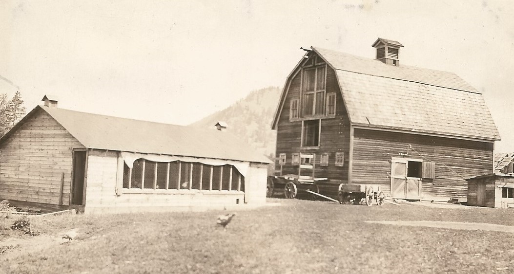 Two wooden wagons sit in front of a large wooden barn. To the left is a large wooden chicken house with chickens in front.
