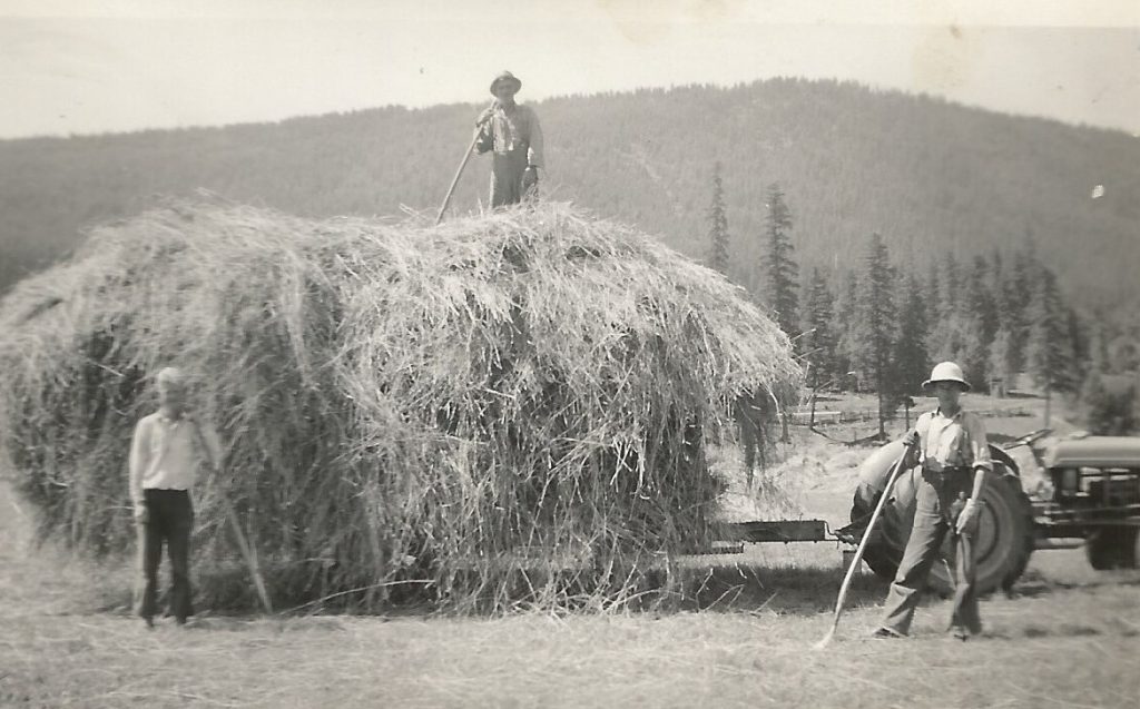 A man is standing on a large stack of loose hay. The hay is loaded on a wagon being pulled by an old tractor. Two men with long rakes stand in front of the wagon.