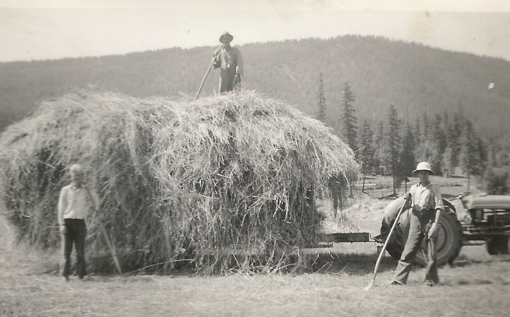 Un homme est debout sur une pile de foin. Un wagon tiré par un vieux tracteur est chargé de foin. Deux hommes avec des râteaux sont debout devant le wagon.