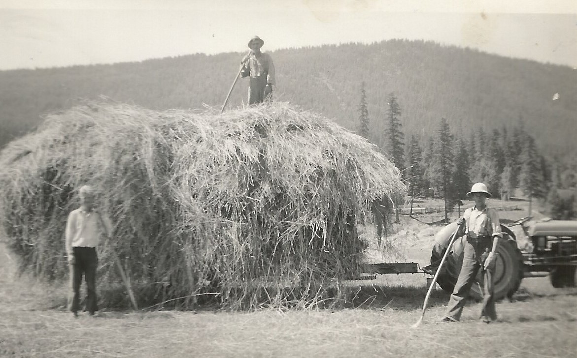 A man is standing on a large stack of loose hay. The hay is loaded on a wagon being pulled by an old tractor. Two men with long rakes stand in front of the wagon.