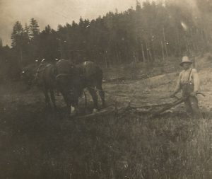 Un homme marche derrière un attelage qui labour dans un champ. Il est habillé en vêtements de laine épaisse et il porte un chapeau. Le champ est rugueux et entouré par des arbres.