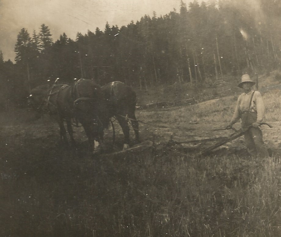 A man is walking behind a team of horses plowing a field. He is dressed in course clothes and is wearing a hat. The field is very rough and surrounded by trees.