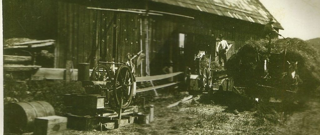 Two horses are hitched to a wagon full of loose hay. The horses are standing beside a barn. 2 men are using a conveyor belt and forks to unload the hay into the barn.
