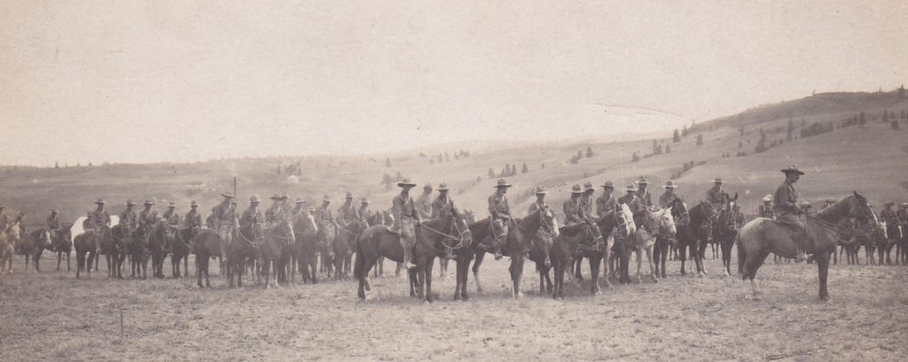 A group of soldiers are mounted on horses and standing in formation in a grassy, open field.