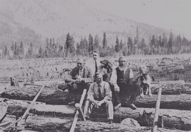 Four men and two dogs are sitting on a pile of logs in a field. The field is very rough. There are stumps and debris scattered over the entire field.