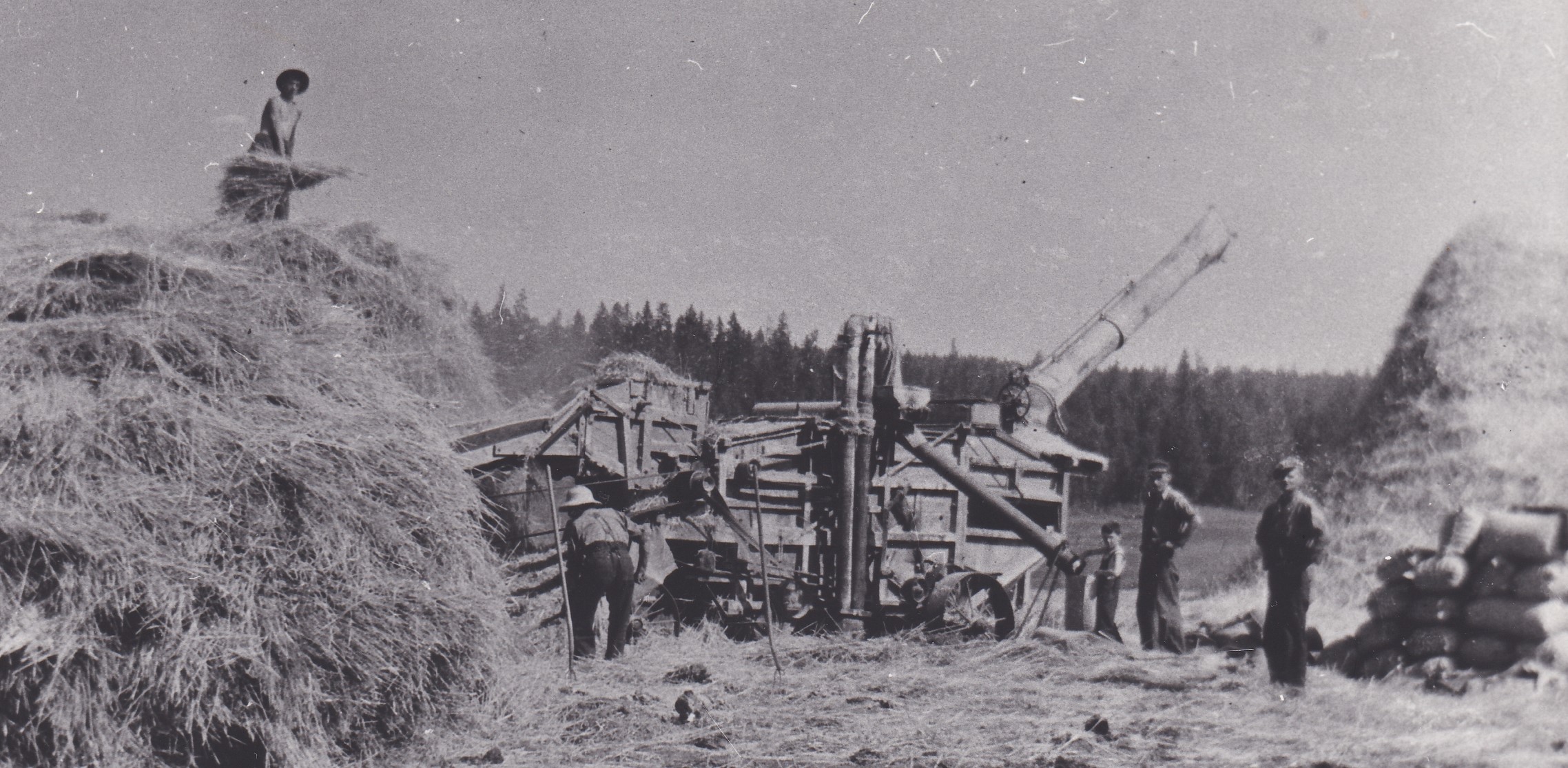 Several men and a small boy are using a threshing machine to harvest grain. A large pile of straw is on each side of the threshing machine. There is a large pile of bagged grain near the threshing machine.