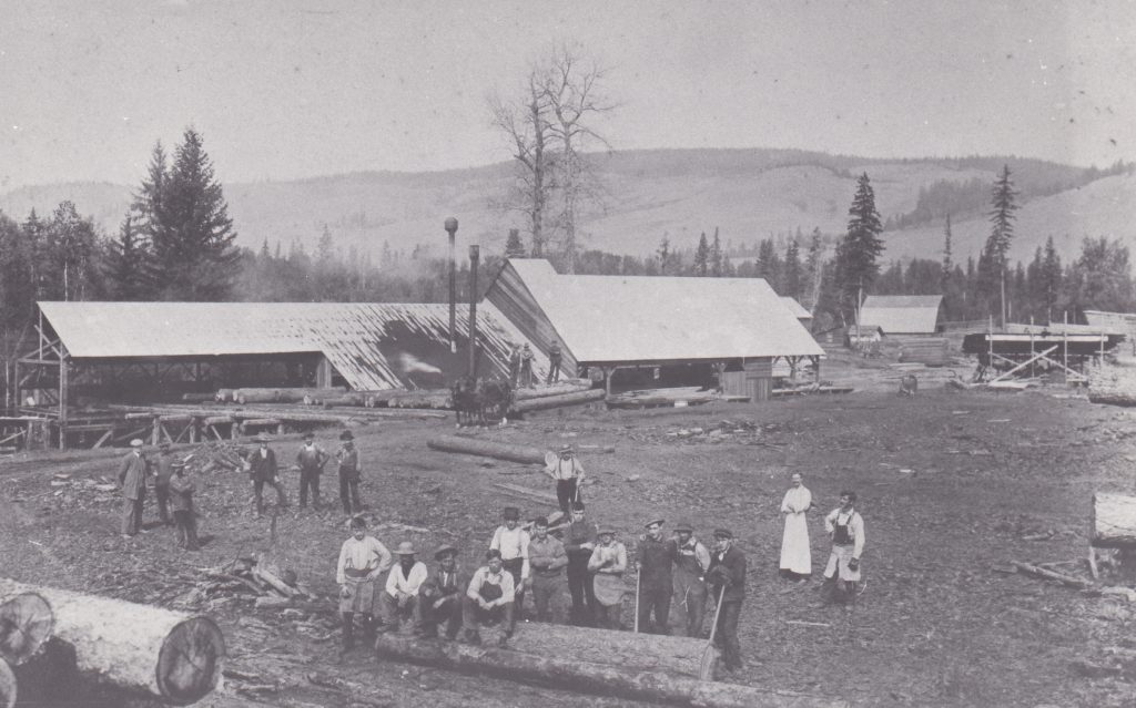 A group of pioneer men are standing in a mill yard. Horses are pulling the large logs to the covered sawmill.