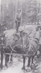 A man is standing on a load of logs stacked on a sled. A team of two horses are pulling a sled. The logs are large and cut to the same size. The road is steep and covered in snow.