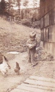 A small boy is throwing grain from a can onto the ground. Several chickens are pecking at the grain.