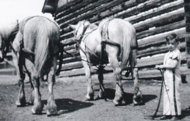 A small boy is holding the reins of two harnessed Percheron horses. The boy and horses are standing in front of a log building.