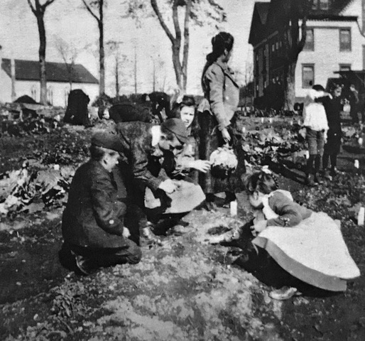 De jeunes garçons en costume et casquette et des filles en robe récoltent dans le potager derrière l’école. Un enseignant se tient au milieu d’eux. 