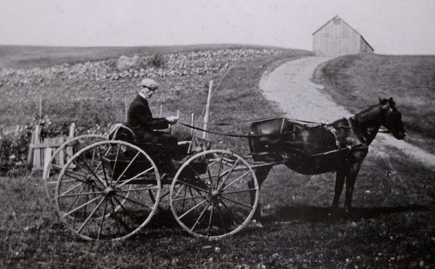 A right side view of a man in a horse-drawn buggy stopped at the foot of a farm laneway.