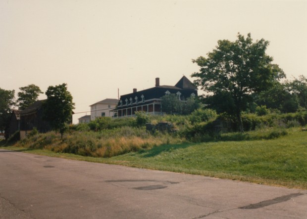 Colour photograph of an overgrown front yard with a few mature trees. A large residence is in the background.