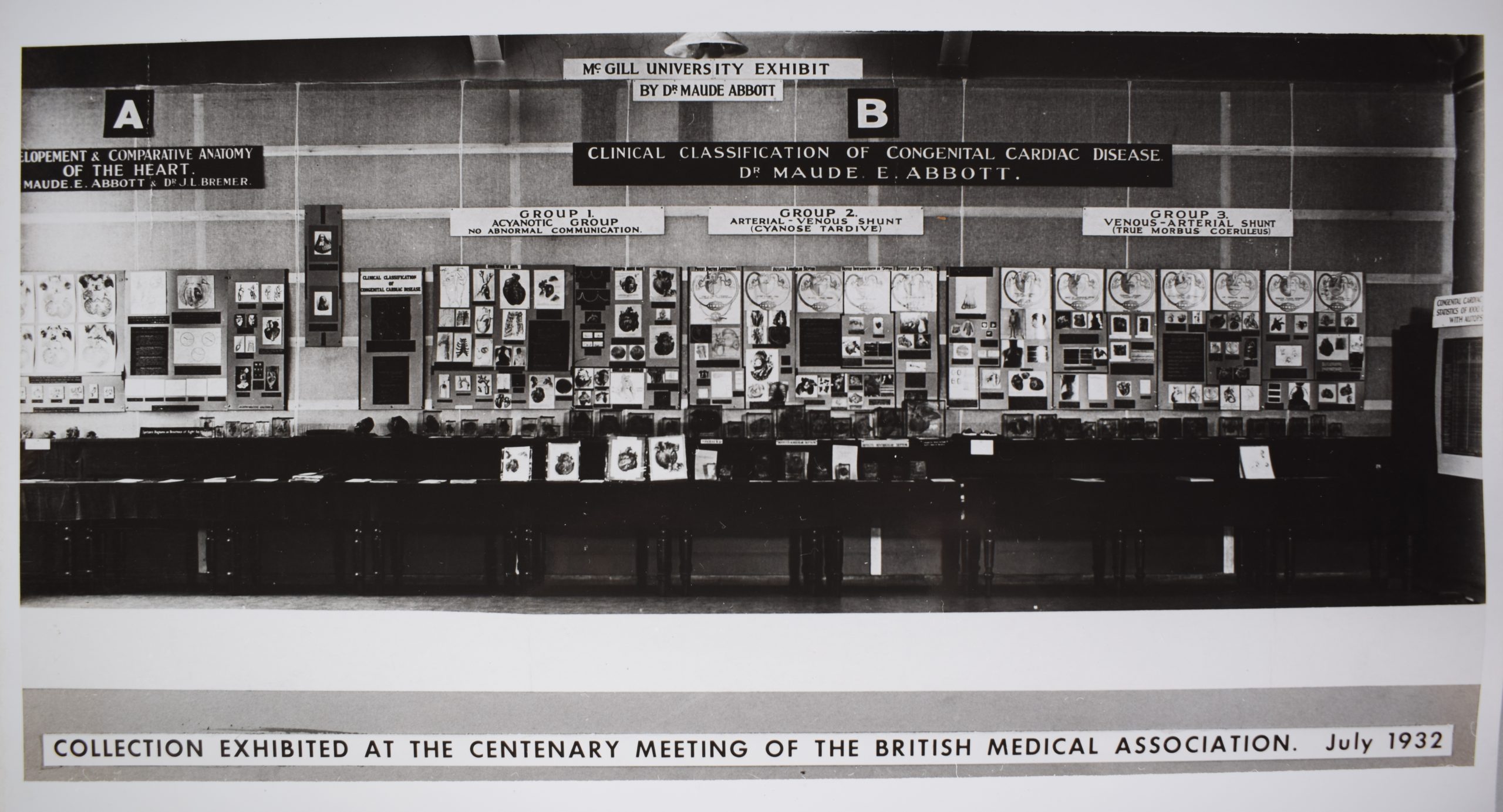 Black and white photo of an exhibit of anatomical specimens at McGill University. Specimens in square glass jars are displayed along a wall.