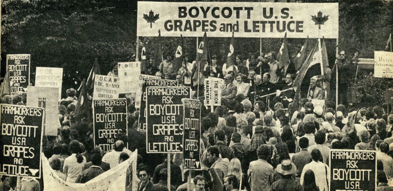 Une foule rassemblée lors d'un mouvement de protestation d'ouvriers agricoles, beaucoup d'entre eux tenant des pancartes appelant au boycott des raisins et de la laitue en provenance des États-Unis.