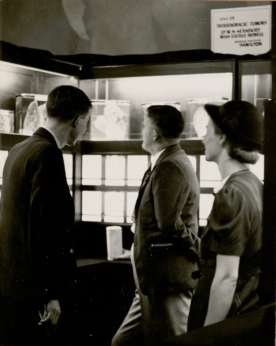 Black and white photo of three people looking at shelves containing pathological specimens in jars.