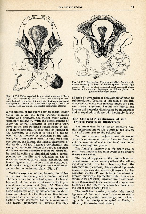 Yellowed journal page with black linework illustrations at top of page and typed text below.
