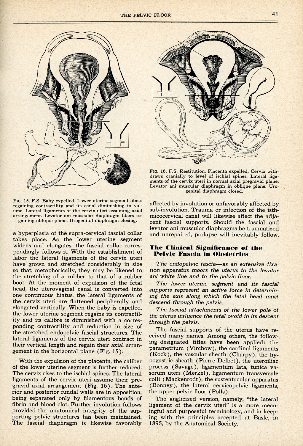Yellowed journal page with black linework illustrations at top of page and typed text below.