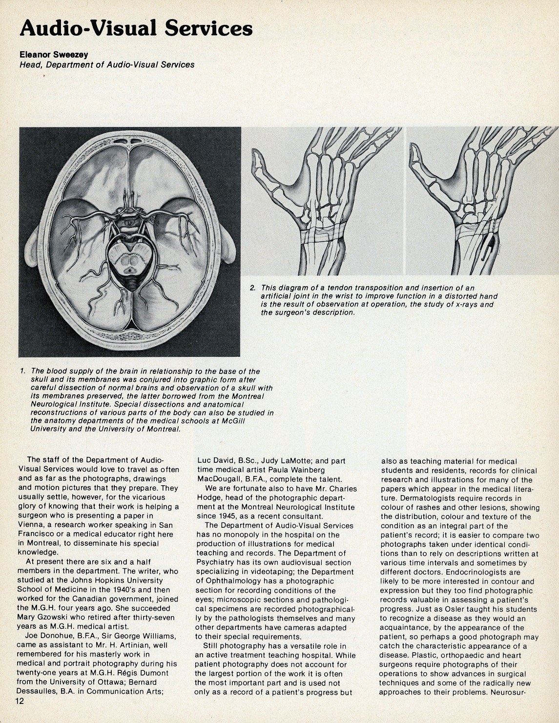 Black and white page from a newsletter titled, "Audio-Visual Services" by Eleanor Sweezey. Contains illustrations of the base of the skull and the bones of the hand.