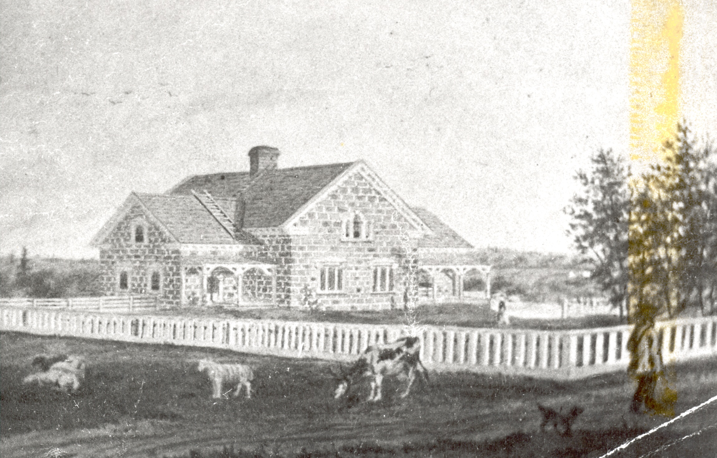 Engraving of the Ferguson Manor House built after 1854. The stone manor house is located roughly in the center of the picture. A white fence delimits the manor's grounds. Outside the fence, a cow and 4 sheep are grazing. A man and his dog are walking along the fence.