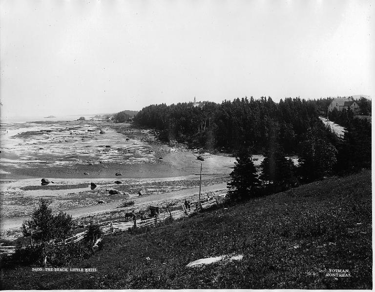 Black and white photograph of Metis. On the left side of the photograph, we see the beach at low tide. On the right, a dense forest of spruce trees rises above the shoreline of the St. Lawrence.