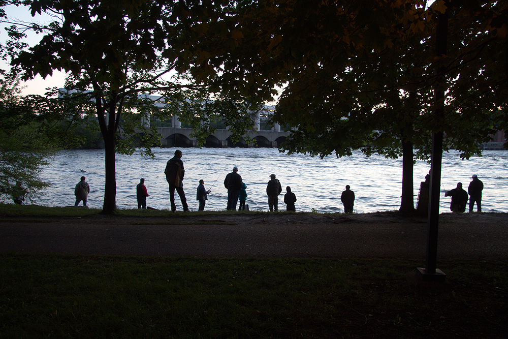 A row of silhouettes of fishermen on the shore of the Island of Montreal late afternoon. They are posted at the foot of the hydroelectric power plant on the Des Prairies River, seen in the background. All are hoping for a great catch with the return of the American shad, a popular fish among the locals.