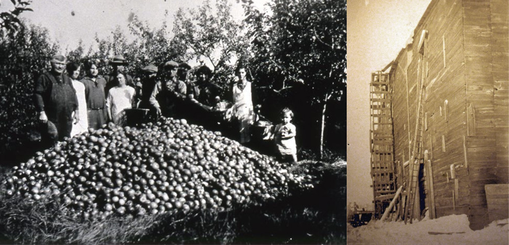 Montage of two archive photographs. On the left, families standing behind a very large pile of apples. On the right, a section of the ice house on La Visitation Island.