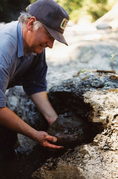 Graham Beard removing a fossil from a man-made cavity in the boulder he is standing beside.