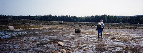 Graham Beard standing on a beach at low tide, forest in the background.